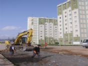 Vatandaş İstedi Belediye Harekete Geçti