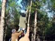 Orman Zararlılarına Karşı Mekanik Mücadele