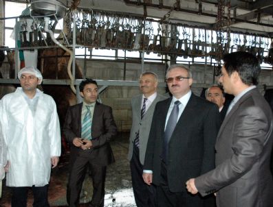 HALIL BERK - Van Valisi Münir Karaloğlu'nun İncelemeleri