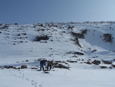 ÇEVRE VE ORMAN İL MÜDÜRLÜĞÜ - Iğdır'da Yaban Hayvanlar İçin Doğaya Yem Bırakıldı