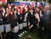 Japonya'nın Milli Sembolü Sakura Fidanı Toprak İle Buluştu