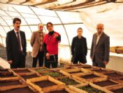 Van Belediyesi'nden İlkbahar Hazırlığı