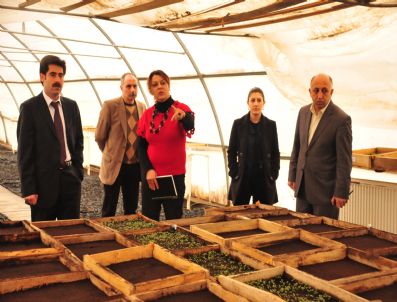 Van Belediyesi'nden İlkbahar Hazırlığı