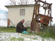 Başkan Öldü Hayata Küstü