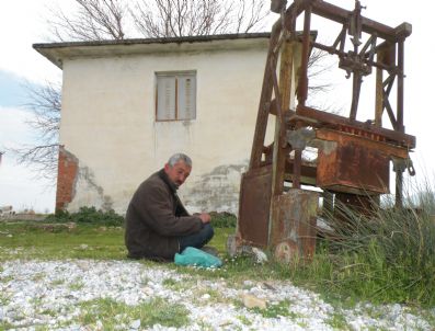 Başkan Öldü Hayata Küstü