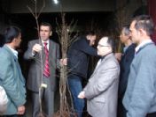 Demirci'de Çiftçilere Aşılanmış Badem Fidanı Dağıtıldı