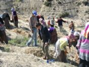 Mut'da Engelliler Dernegi'nden Ağaçlandırma Etkinliği