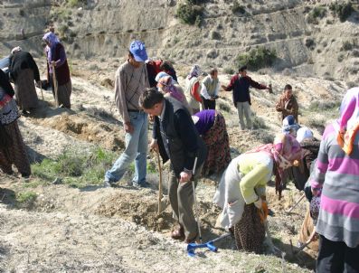 Mut'da Engelliler Dernegi'nden Ağaçlandırma Etkinliği
