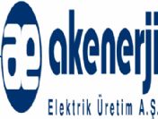 Akenerji'nin 2009 Satış Geliri 464 Milyon Tl