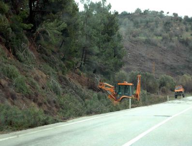 Görüşü Engelleyen Ağaçlar Kesiliyor
