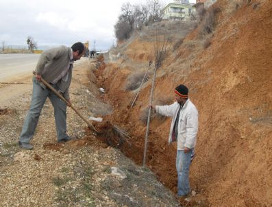 Hüyük'te Ağaçlandırma Seferberliği