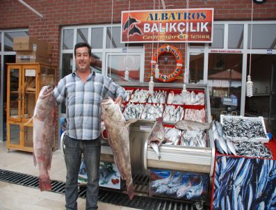 ALBATROS - Kırmızı Etten Sonra Balık Fiyatları Da Yükselişe Geçti