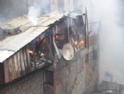 Artvin'in Borçka İlçesinde Korkutan Yangın