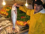 Gaziantep'te Sahan Şirehan'la Balık Tüketimi Arttı