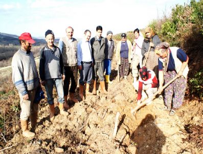 KıZıK - Manyas Köylerinde Orman Çalışması