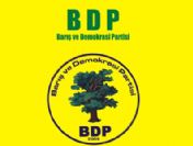 BDP'nin grup başkanvekilleri belli oldu