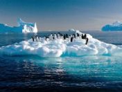 'Hata pahalıya mal oldu'