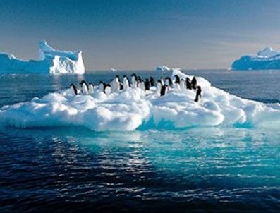 'Hata pahalıya mal oldu'