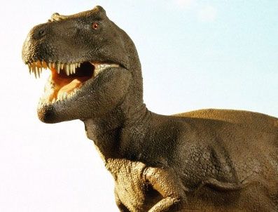 NATIONAL GEOGRAPHIC - Dinozor ne renkti?
