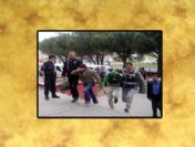 Korkunç cinayette 5 tutuklama