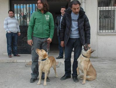 Narkotik köpeklerinden geçit yok