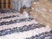 Uyuşturucu tacirlerine geçit yok