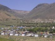 Develi'de Yeşil Kuşak Projesi Sevinci