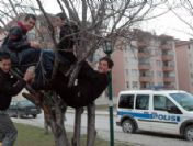 Gebze'de Fuhuş Operasyonu: 52 Gözaltı