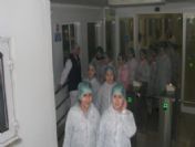 Özel Şahin İlköğretim Okulu Öğrencileri Ak Gıda Tesislerini Gezdi