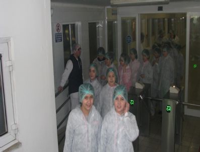 Özel Şahin İlköğretim Okulu Öğrencileri Ak Gıda Tesislerini Gezdi