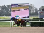 Çukurova Belediye Başkanlığı Kupası Aydemirhan'ın