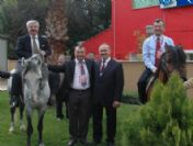 Eski Gelenek Tekrar Hayat Bulacak