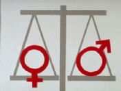 KA-DER'den Kadın-erkek eşitliğine sıfır!