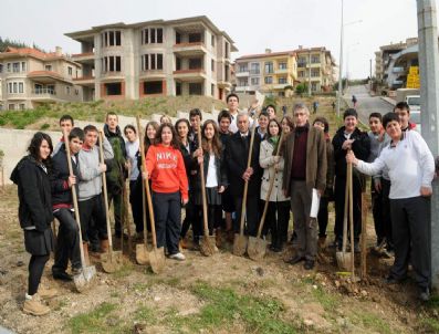 Nilüfer'de Yeşil Seferberlik