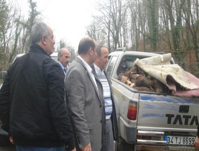 İHBAR HATTI - Ömerli'de Kaçak Ağaç Kesimi Yapan Şüpheliye Suçüstü