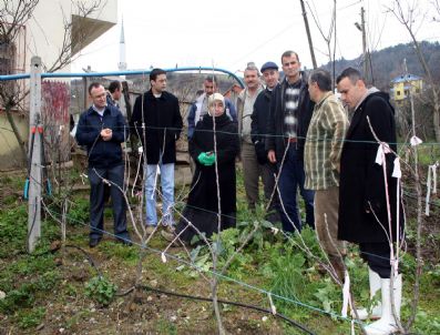 EĞERCI - Tarım Müdürlüğü'nden Fidan Budama Kursu