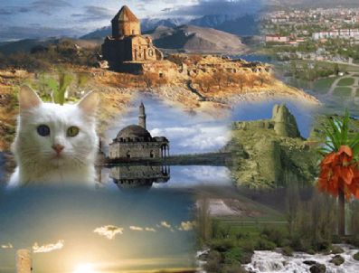 KEREM ALTUN - Van Berlin'de kendini tanıtıyor