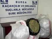 75 Kilo Esrarla Yakalandılar, 'Haberimiz Yok' Dediler