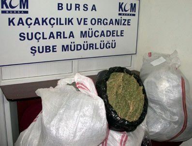 75 Kilo Esrarla Yakalandılar, 'Haberimiz Yok' Dediler