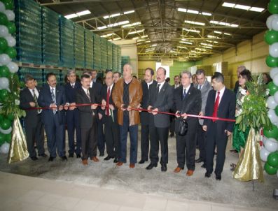 HALIL MAZıCıOĞLU - Milletvekili Mazıcıoğlu, Beypazarında Fabrika Açılışına Katıldı