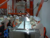 Ordu'da 6 Kırsal Kalkınma Yatırımına Destek