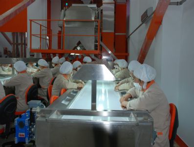 Ordu'da 6 Kırsal Kalkınma Yatırımına Destek