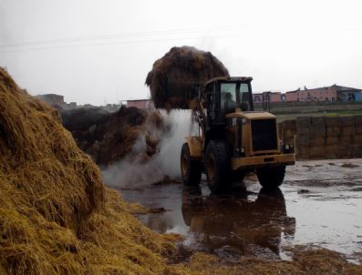HALIL DEMIR - Korkuteli Aü Myo Öğrencileri, Mantar Üretim Tesisinde