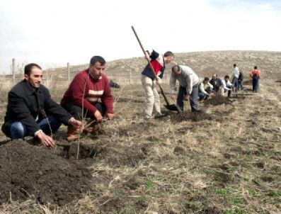 ÇıLDıR GÖLÜ - Ardahanlı Çiftçiler Fındık Yetiştirmeyi Hedefliyor