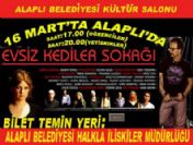 Alaplı'da 'Evsiz Kediler Sokağı' Tiyatro Gösterisi