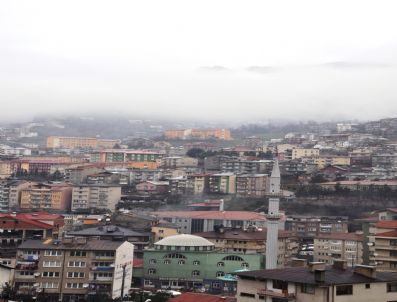 ZIGANA DAĞı - Gümüşhane'de Yoğun Sis