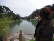 Homeros Vadisi Genişliyor