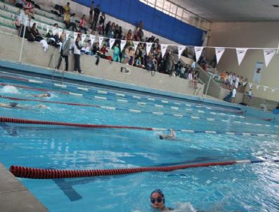 Malatya'da Okullar Arası Yüzme İl Şampiyonası Başladı