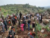 Mersin Barosu Hatıra Ormanı Kuruldu