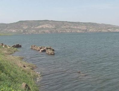 YAMULA BARAJı - Kuşçu'daki Ada Ağaçlandırılıyor